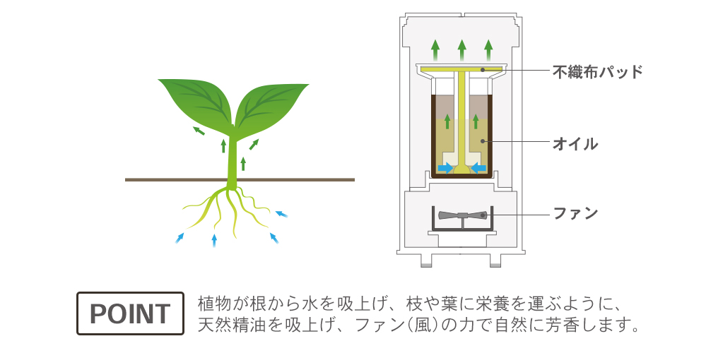 植物が根から水を吸い上げ、枝や葉に栄養を運ぶように、天然精油を吸い上げ、ファン(風)の力で自然に芳香します