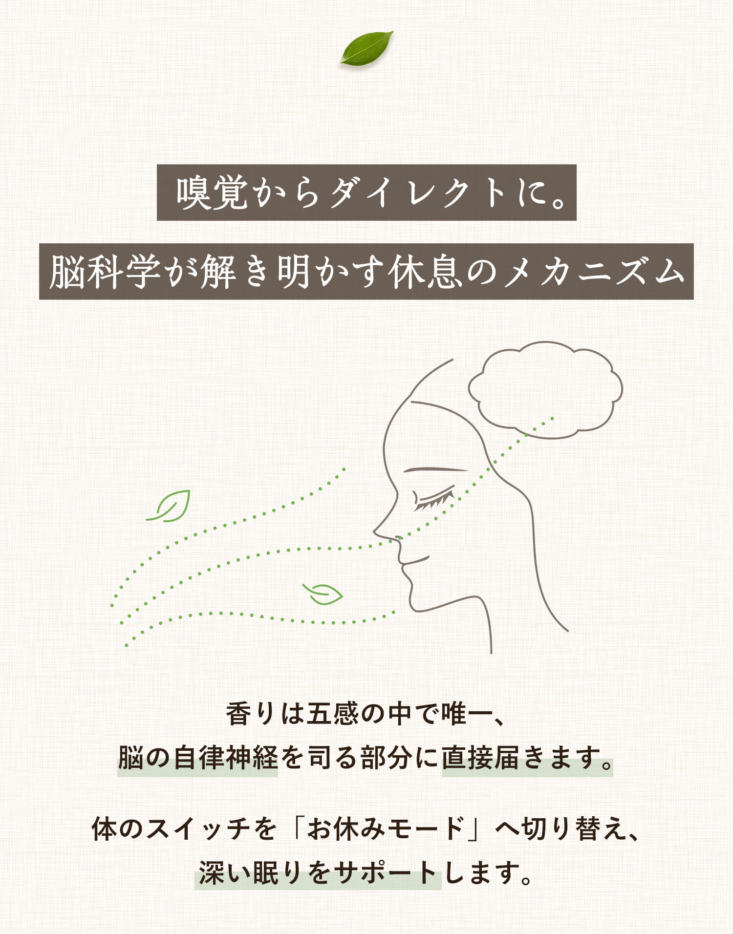 嗅覚からダイレクトに。脳科学が解き明かす休息のメカニズム。香りは五感の中で唯一、
脳の自律神経を司る部分に直接届きます。体のスイッチを「お休みモード」へ切り替え、 深い眠りをサポートします。
