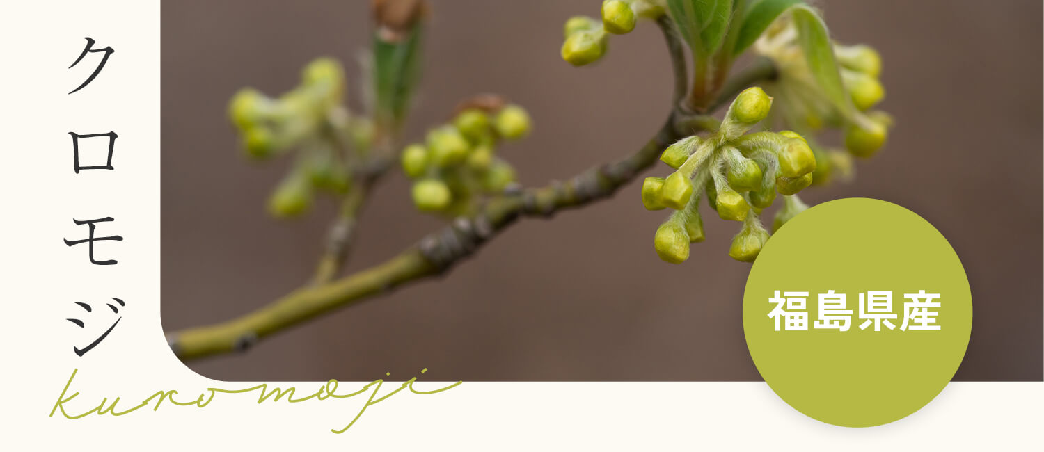 クロモジ