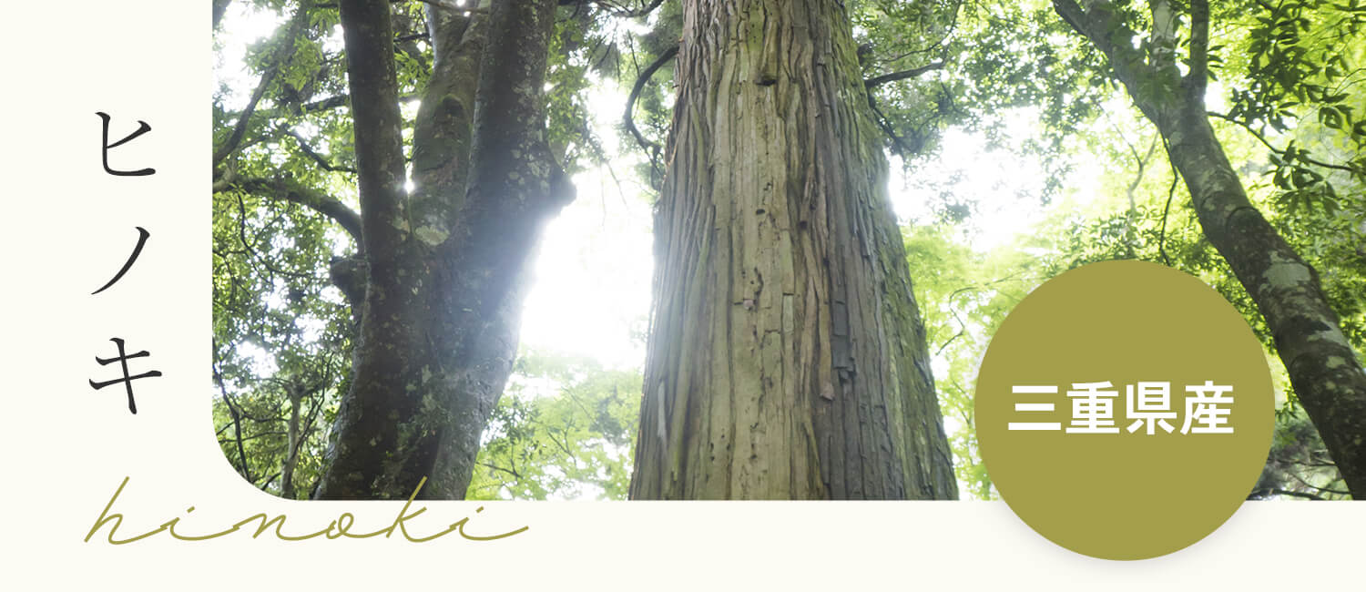 ヒノキ