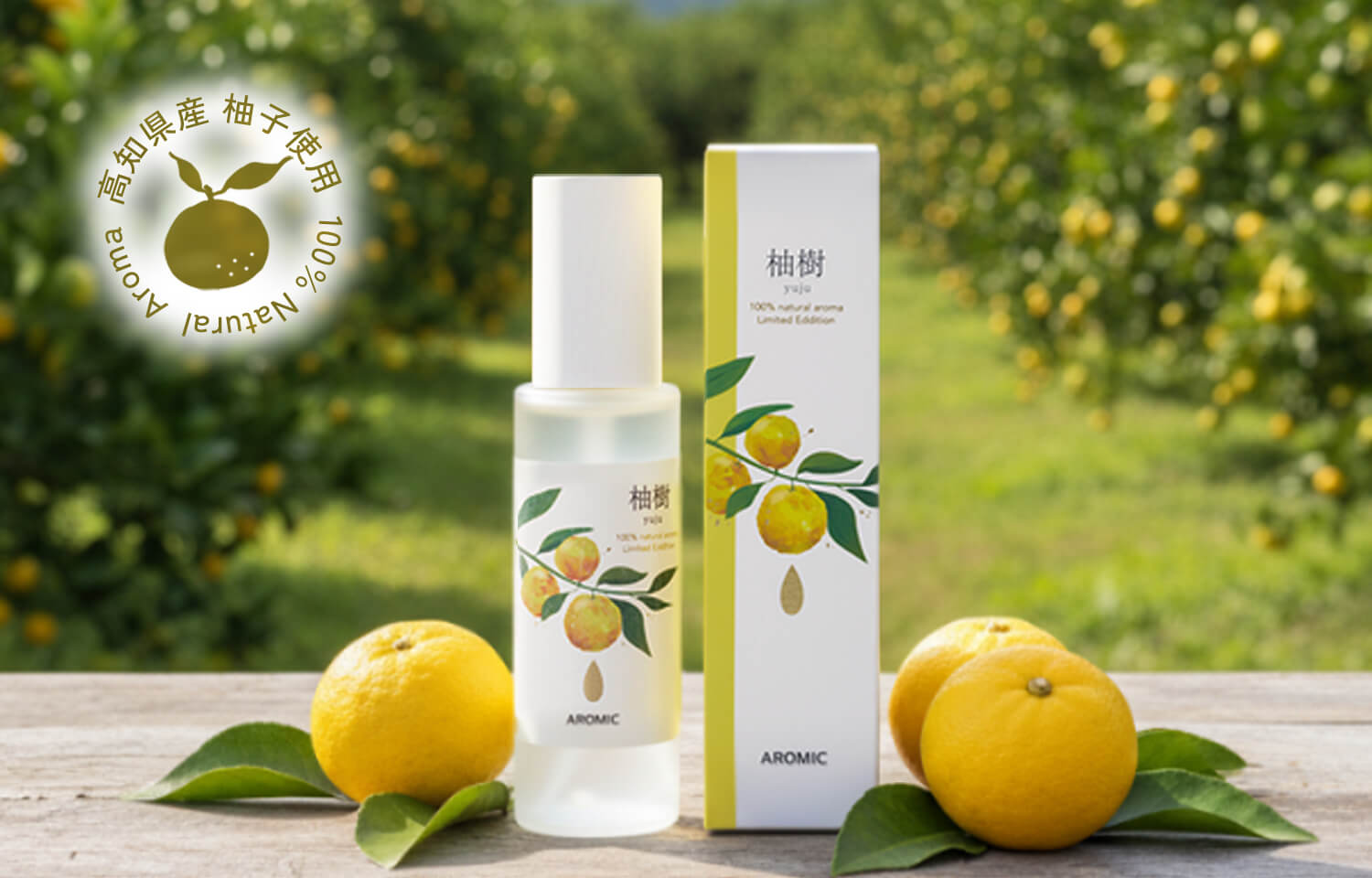 ゆじゅメインビジュアル