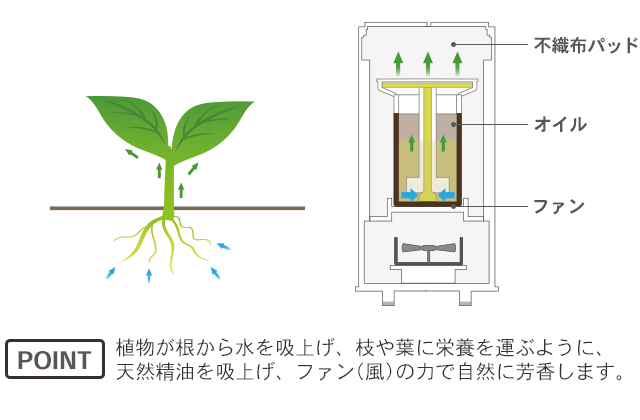 植物が根から水を吸い上げ、枝や葉に栄養を運ぶように、天然精油を吸い上げ、ファン(風)の力で自然に芳香します