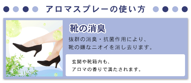 使い方