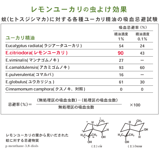 レモンユーカリの虫除け効果