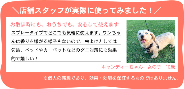 店舗スタッフが実際に使ってみました