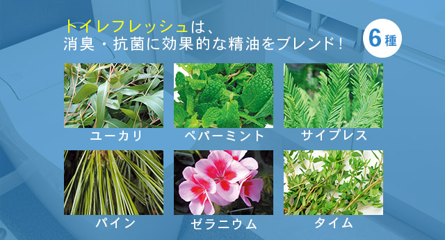 トイレフレッシュは、消臭・抗菌に効果的な6種の精油をブレンド